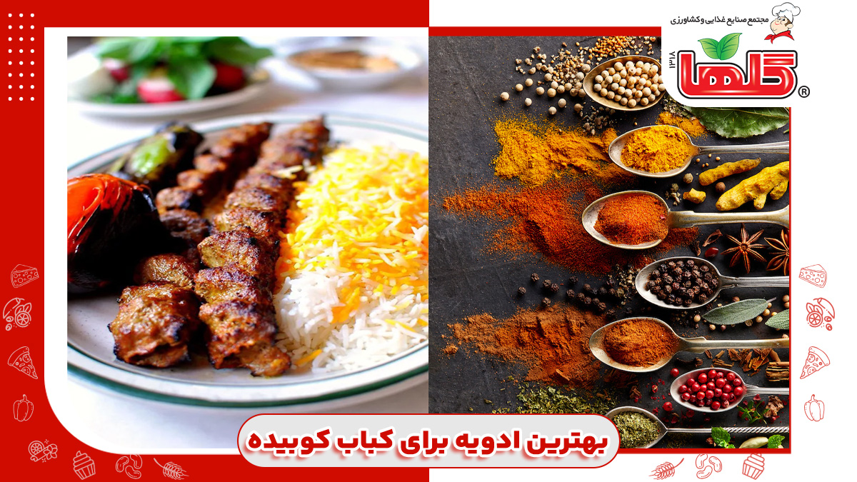 بهترین ادویه برای کباب کوبیده